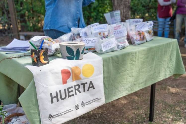ENTREGA DE SEMILLAS EN EL HOGAR