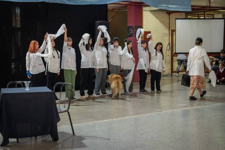 MUESTRA  INTERACTIVA DE ALUMNOS COLEGIO SUPERIOR N| 50