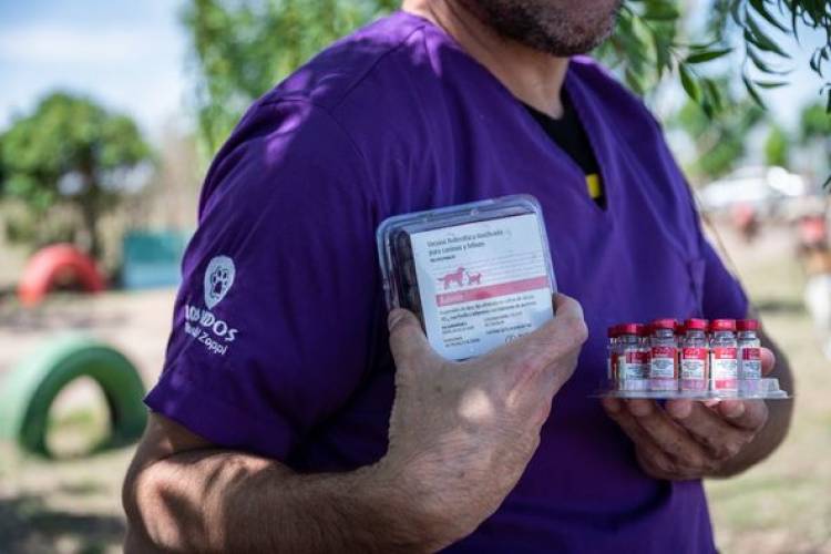 VACUNACION NATIRABICA EN REFUGIO ANIBAL ZOPPI