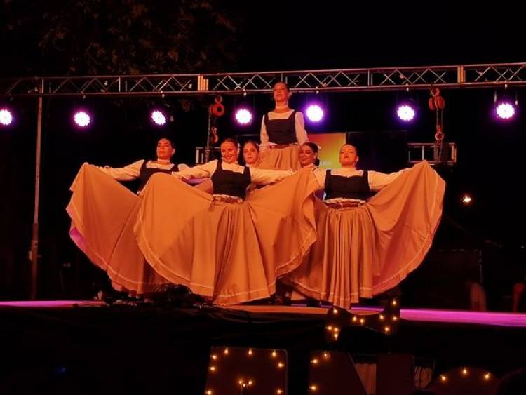 FIESTA DE LA TRADICION