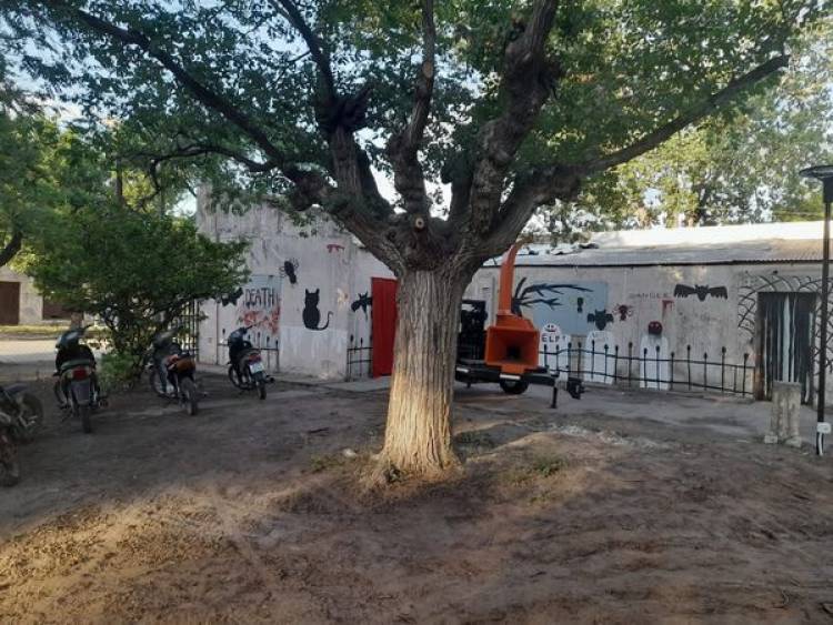 GENTILEZA VIRGINIA FREGOSO