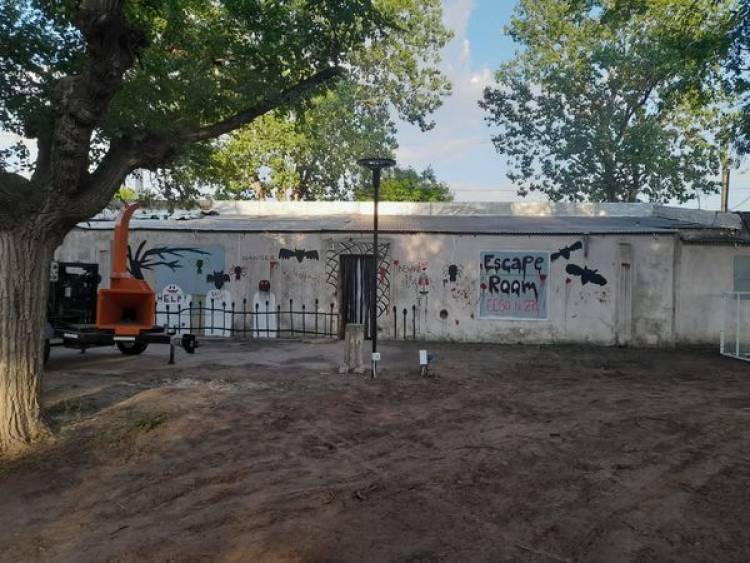 GENTILEZA VIRGINIA FREGOSO