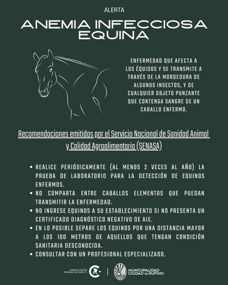 ANEMIA INFECCIOSA EQUINA