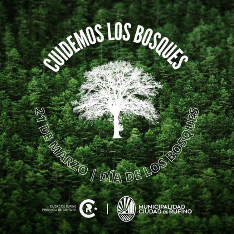 DIA INTERNACIONAL DE LOS BOSQUES 2023: "LOS BOSQUES Y LA SALUD"
