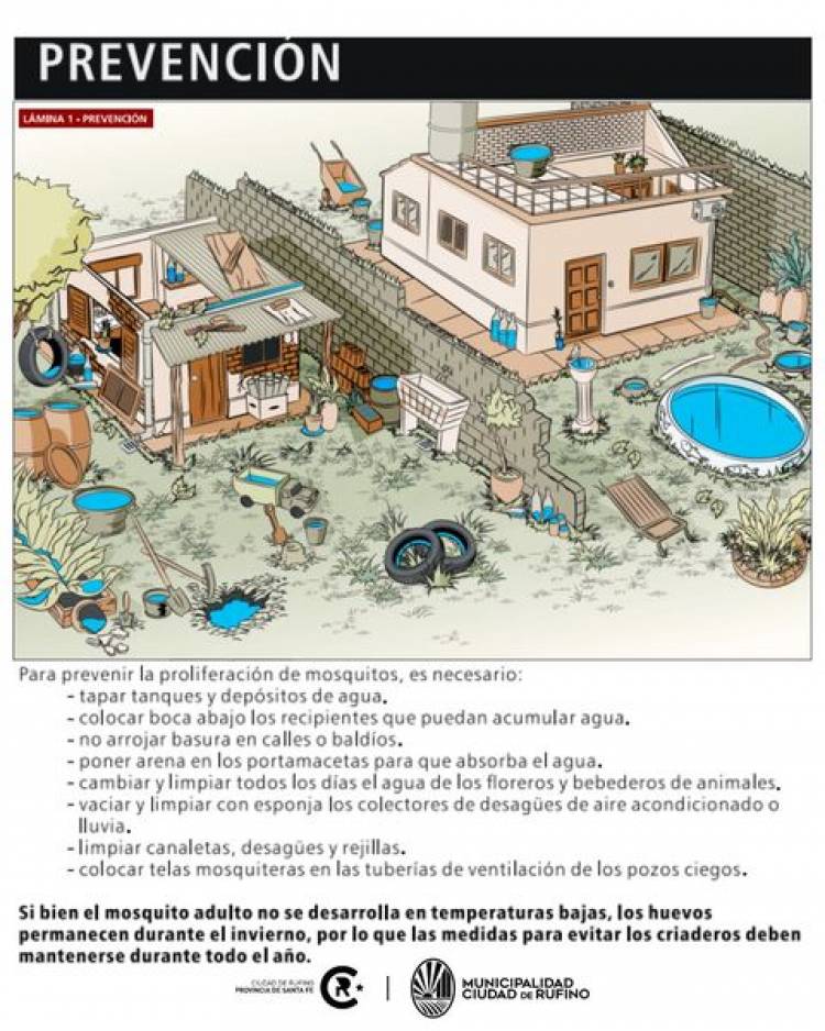 ¿ QUE ES EL DENGUE?