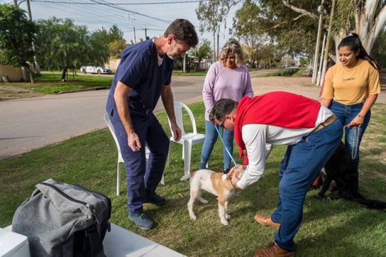 JORNADA DE VACUNACION