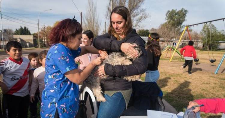 JORNADA DE VACUNACION ANTIRRABICA