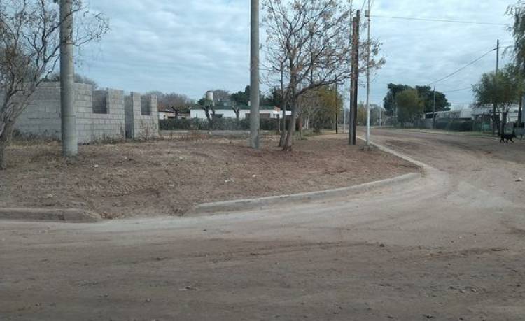 LIMPIEZA DE CORDONES Y EMPEDRADO