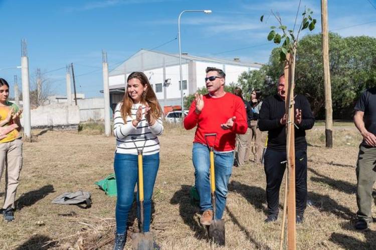 EN EL DIA DEL ARBOL...