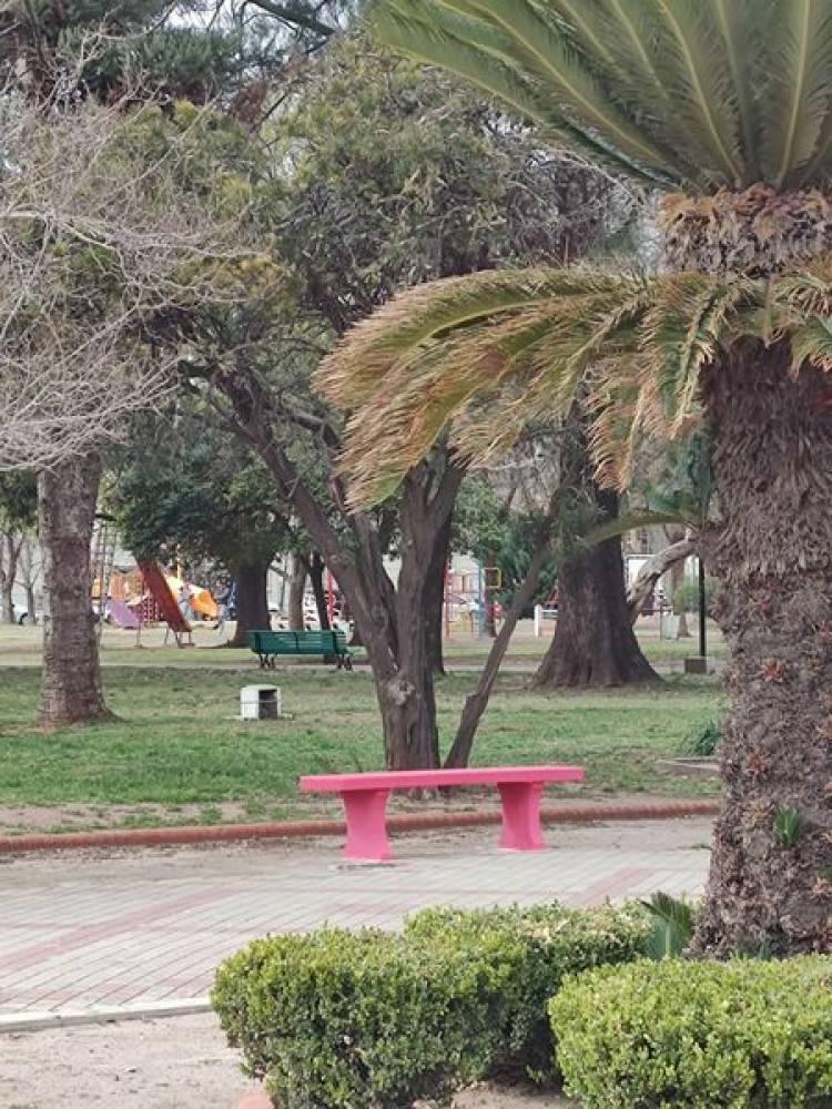 INTENDENTE NATALIO LATTANZI: PLAZAS