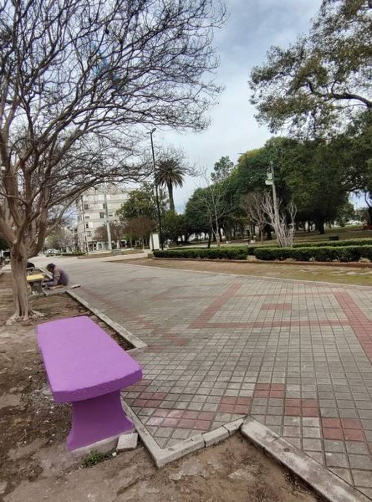 INTENDENTE NATALIO LATTANZI: PLAZAS