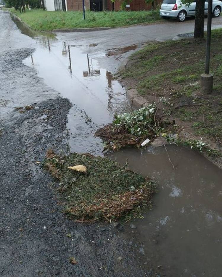 MUNICIPALIDAD DE RUFINO: ARROJAR RESIDUOS