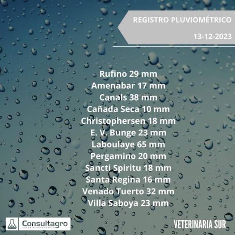 REGISTRO DE PRECIPITACIONES