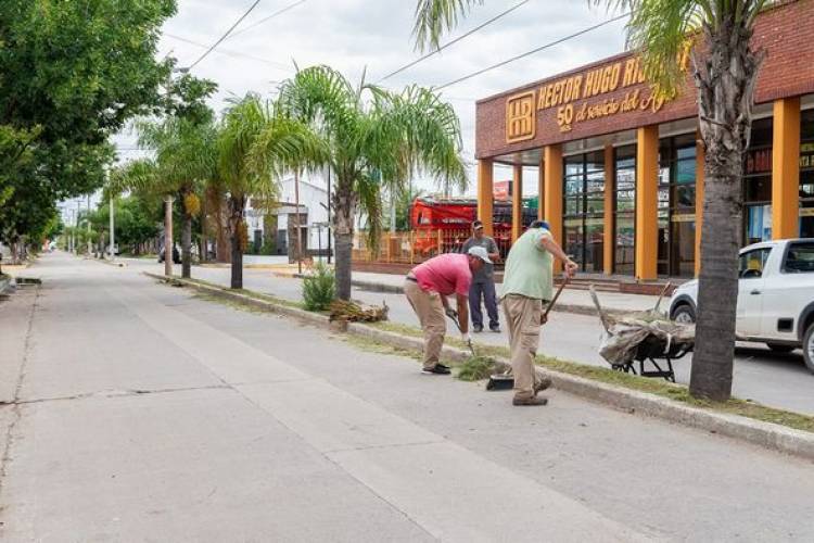 LIMPIEZA DE CANTEROS