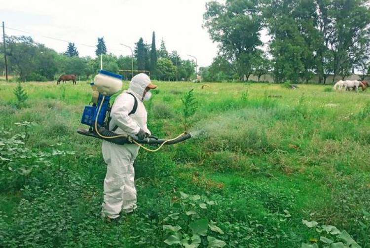 CONTINUAMOS CON LA FUMIGACION