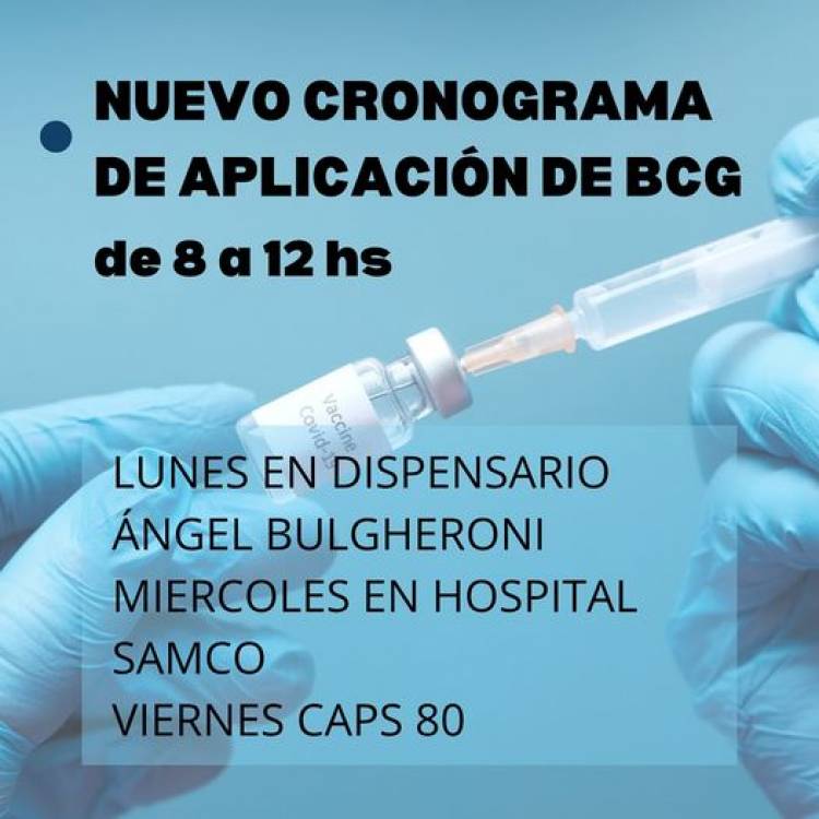 SAMCO RUFINO: CRONOGRAMA DE APLICACION  DE VACUNA BCG