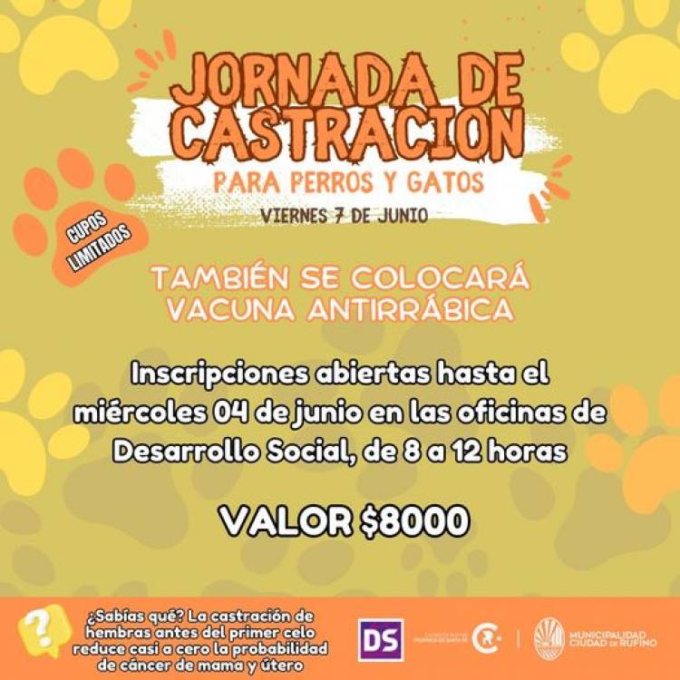 CASTRACION PARA PERROS Y GATOS