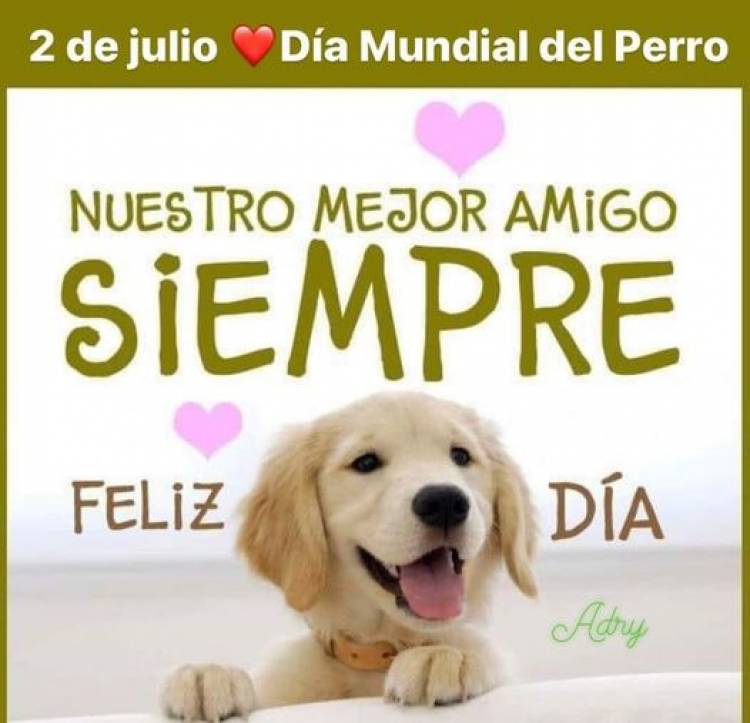 2 DE JUNIO: DIA MUNDIAL DEL PERRO
