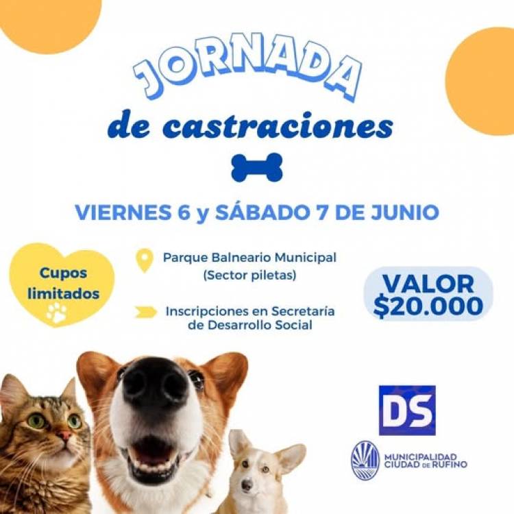 JORNADAS DE CASTRACIONES PARA PERROS Y GATOS