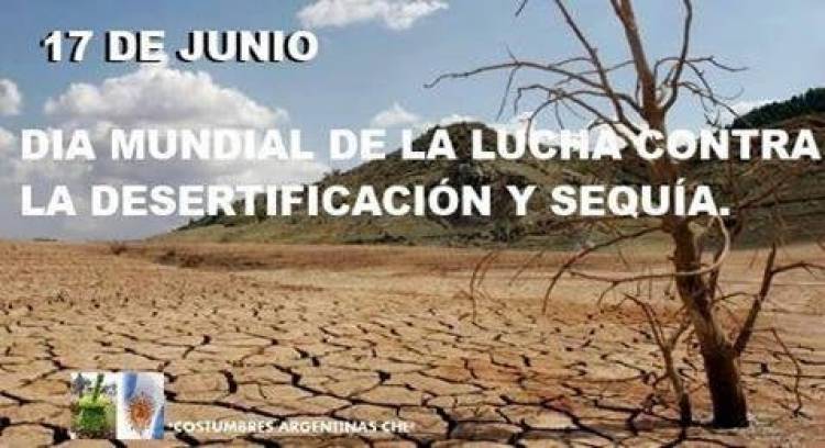 17 DE JUNIO: DIA MUNDIAL DE LUCHA CONTRA LA DESERTIFICACION Y LA SEQUIA