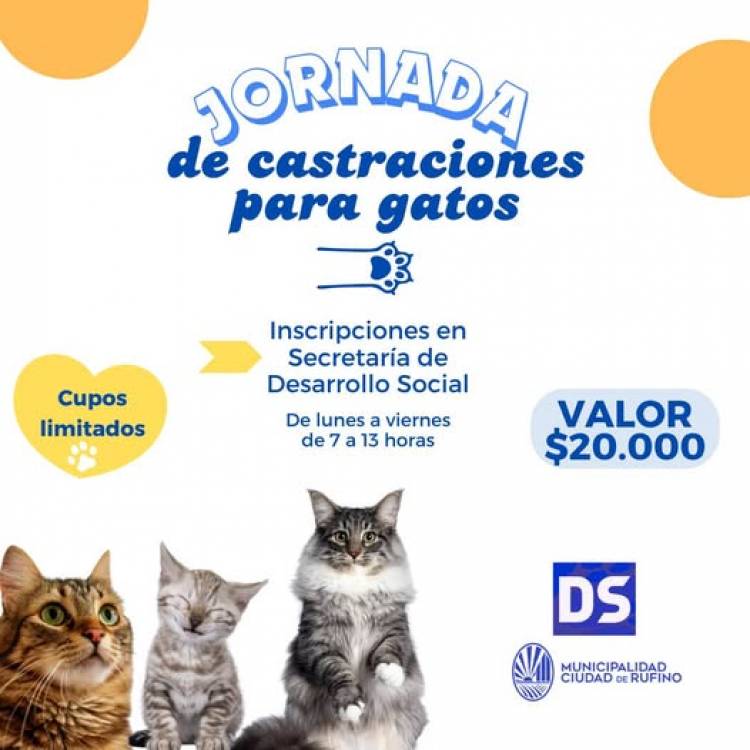 JORNADA DE CASTRACION PARA GATOS