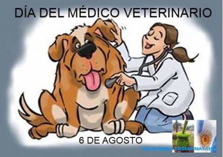 6 DE AGOSTO: DIA DEL MEDICO VETERINARIO