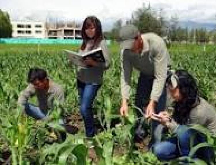 6 DE AGOSTO: DIA DE LA ENSEÑANZA AGROPECUARIA