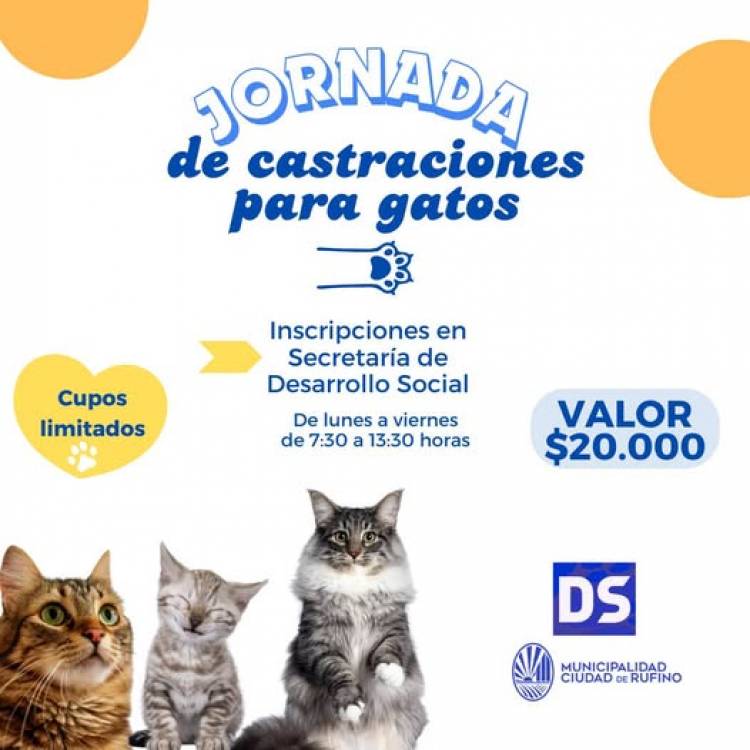 JORNADA DE CASTRACION PARA GATOS