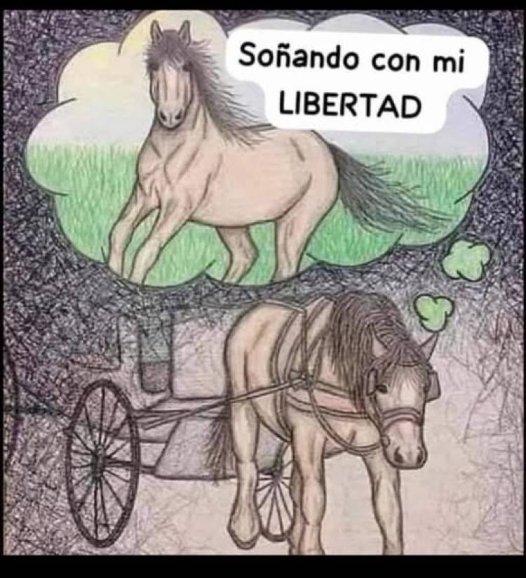 PARA PENSAR...