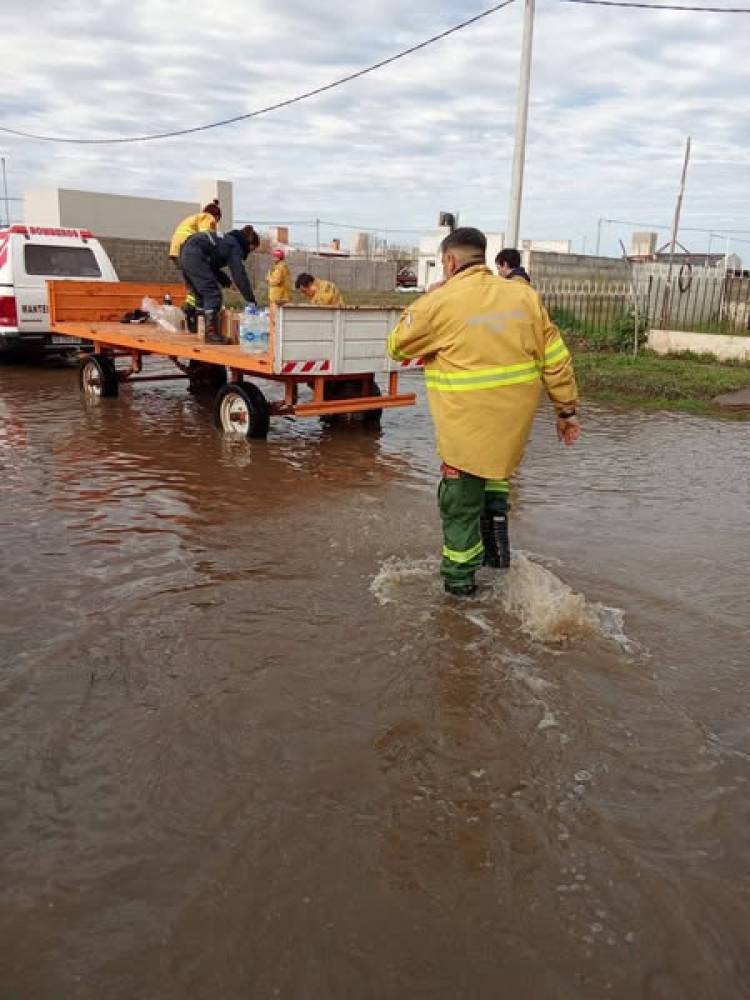 COLABORACION REGIONAL