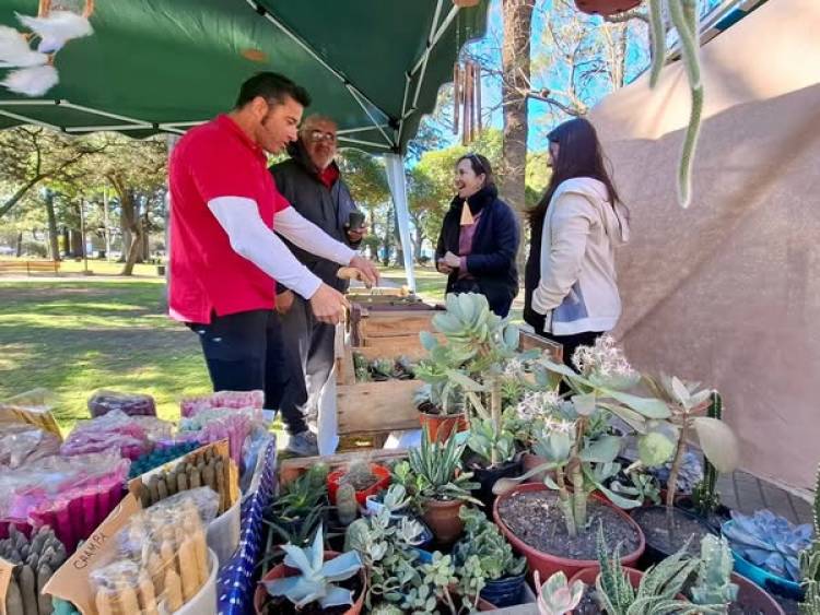 DOMINGO DE FERIA EN LA PLAZA