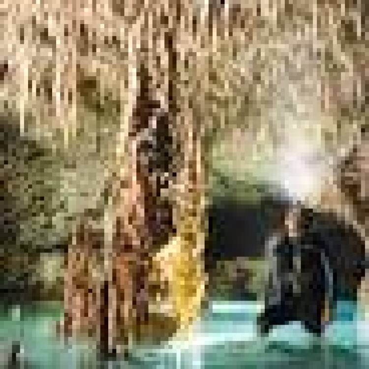 16 DE SETIEMBRE: DIA INTERNACIONAL DEL ESPELEOLOGO