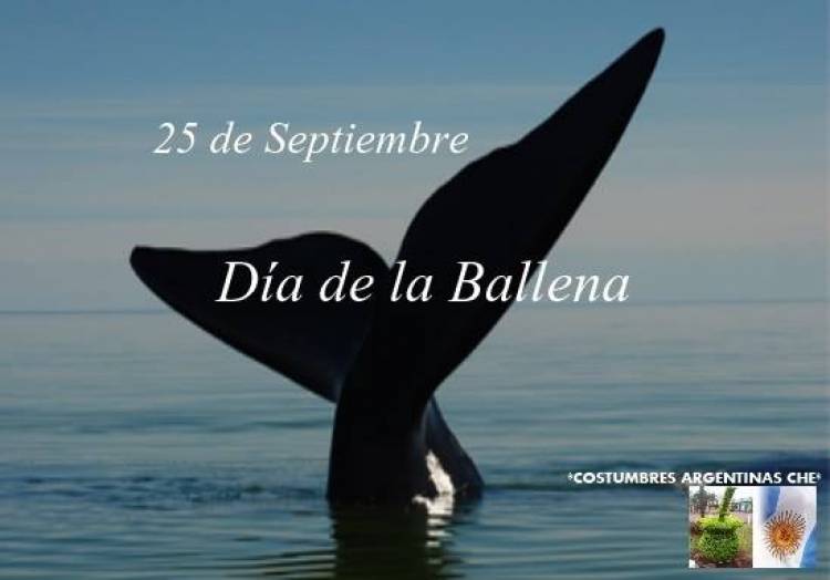 25 DE SETIEMBRE: DIA DE LA BALLENA