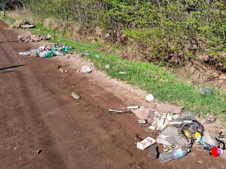 TRABAJOS DE LIMPIEZA EN TODA LA CIUDAD