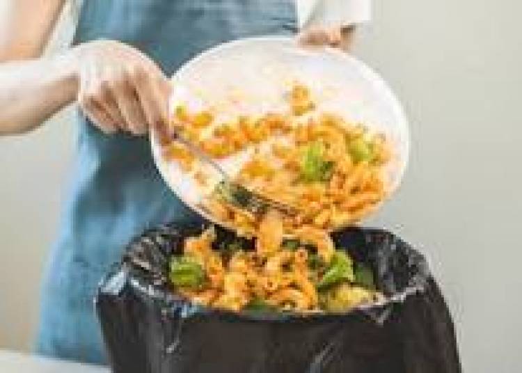 29 DE SETIEMBRE: DIA INTERNACIONAL DE LA CONCIENTIZACION DE PERDIDA Y EL DESPERDICIO DE ALIMENTOS