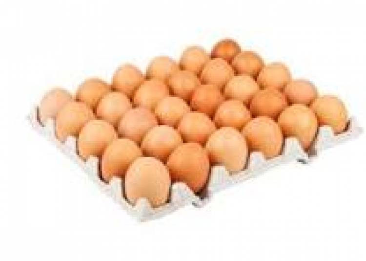 9 DE OCTUBRE: DIA MUNDIAL DEL HUEVO