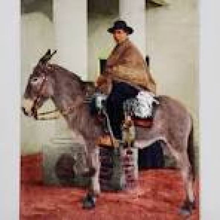 16 DE OCTUBRE: DIA DEL SANTOI CURA BROCHERO