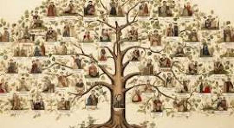 EL ORIGEN DE LOS APELLIDOS