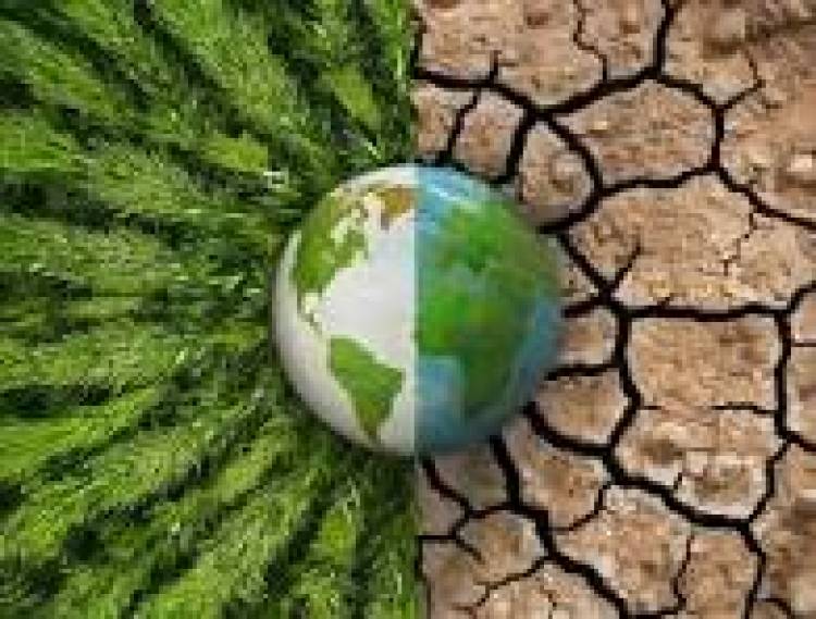 24 DE OCTUBRE: DIA INTERNACIONAL DEL CAMBIO CLIMATICO