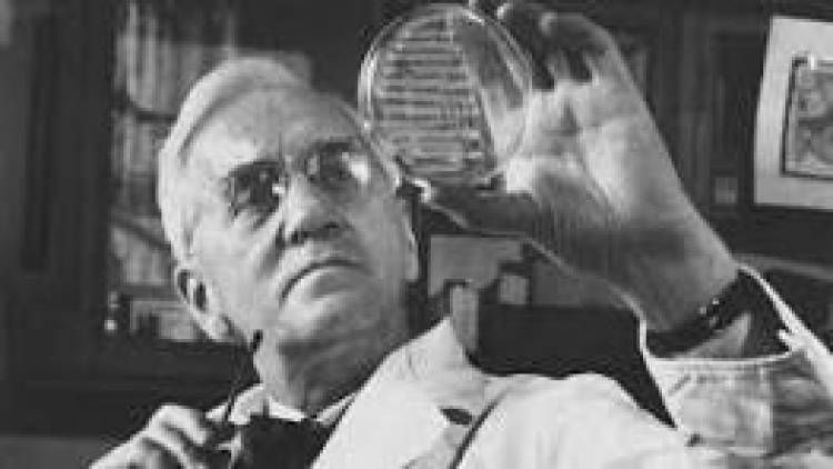 24 DE OCTUBRE DE 1945: ALEXANDER FLEMING RECIBE EL NOBEL DE MEDICINA