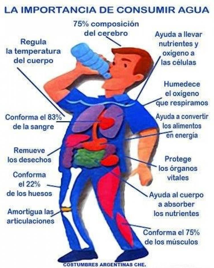 LA IMPORTANCIA DE TOMAR AGUA