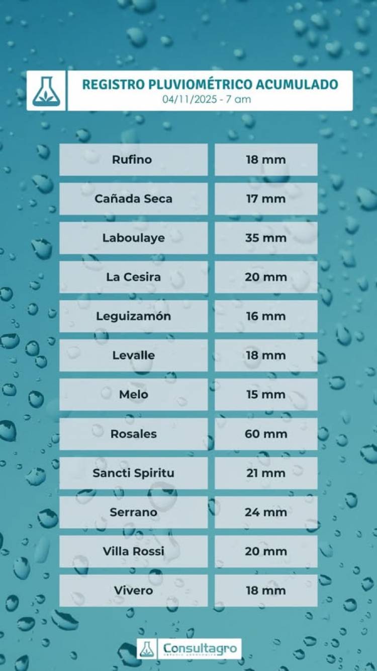REGISTRO PLUVIOMETRICO ZONAL