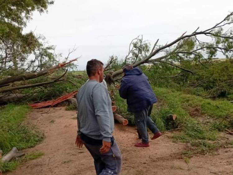 YA SE ENCUENTRA LIBERADO EL CAMINO N° 6