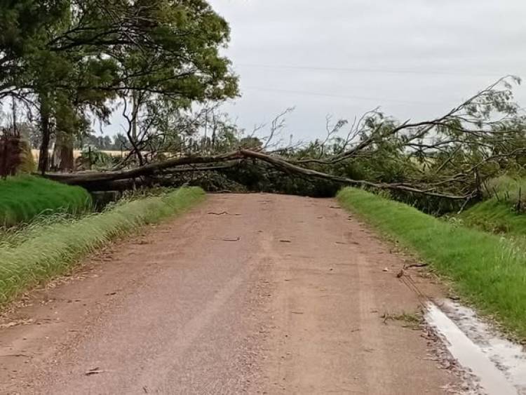 YA SE ENCUENTRA LIBERADO EL CAMINO N° 6