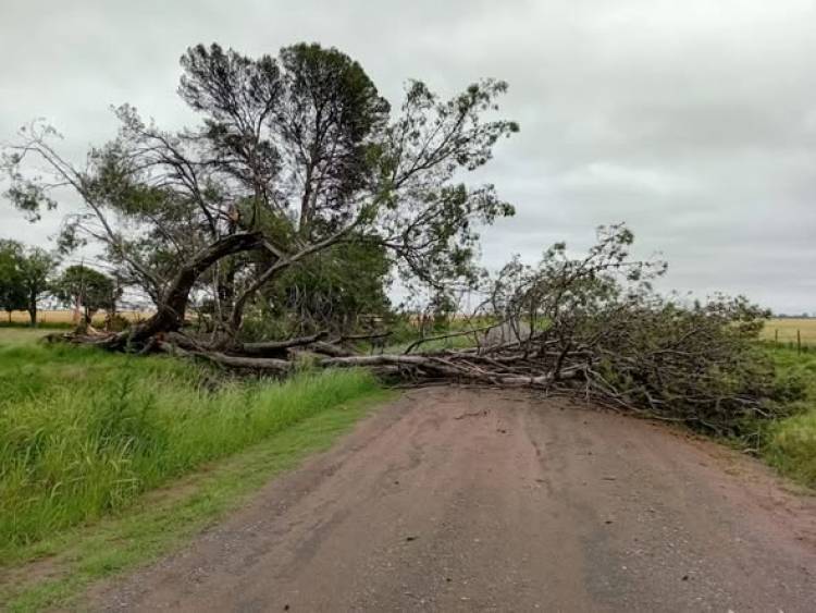 YA SE ENCUENTRA LIBERADO EL CAMINO N° 6