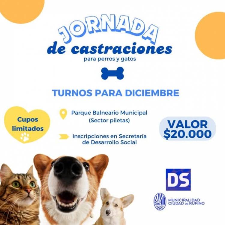 CASTRACIONES PARA PERROS Y GATOS