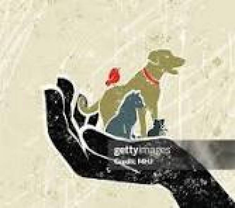 10 DE DICIEMBRE: DIA INTERNACIONAL DE LOS DERECHOS DE LOS ANIMALES