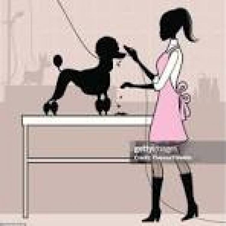 17 DE DICIEMBRE DIA DEL PELUQUERO CANINO