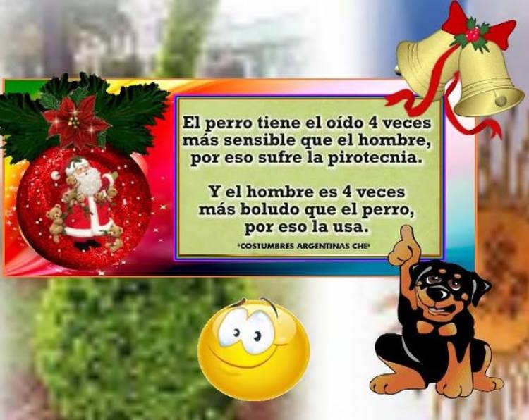 NO A LA PIROTECNIA...!!!