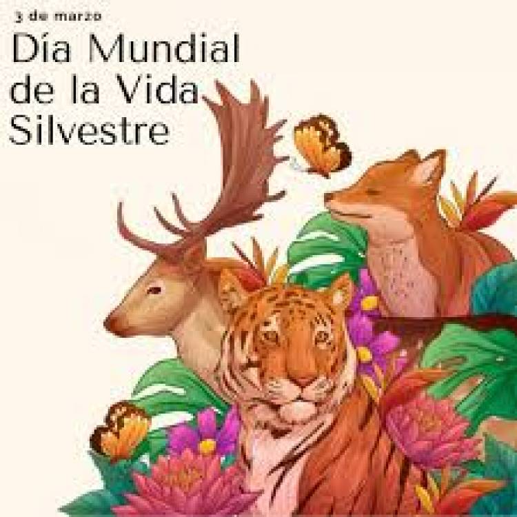 3 DE MARZO: DIA MUNDIAL DE LA VIDA SILVESTRE